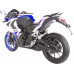  Racer Storm RC 250 XZR-A